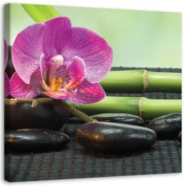 obraz-na-plotnie-zen-orchidea-60x60