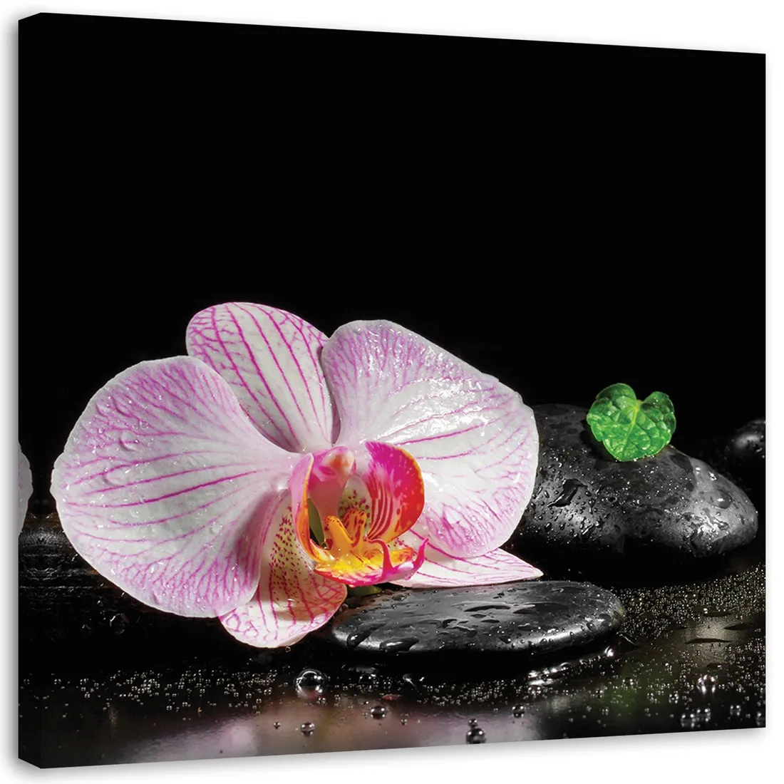 obraz-na-plotnie-orchidea-zen-30x30-stan-nowy