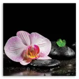obraz-na-plotnie-orchidea-zen-30x30-sposob-wykonania-druk-cyfrowy