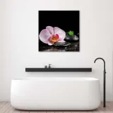obraz-na-plotnie-orchidea-zen-60x60-stan-nowy