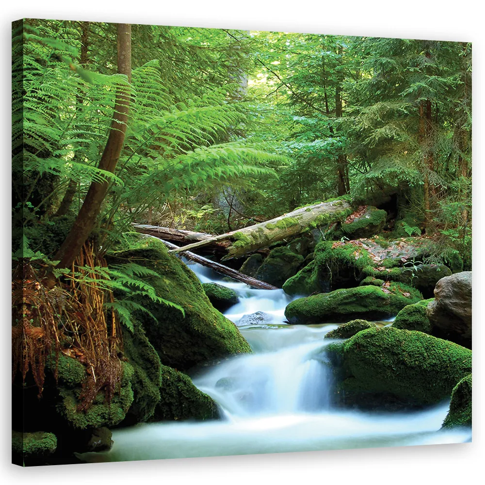 obraz-na-plotnie-las-gory-potok-60x60-stan-nowy
