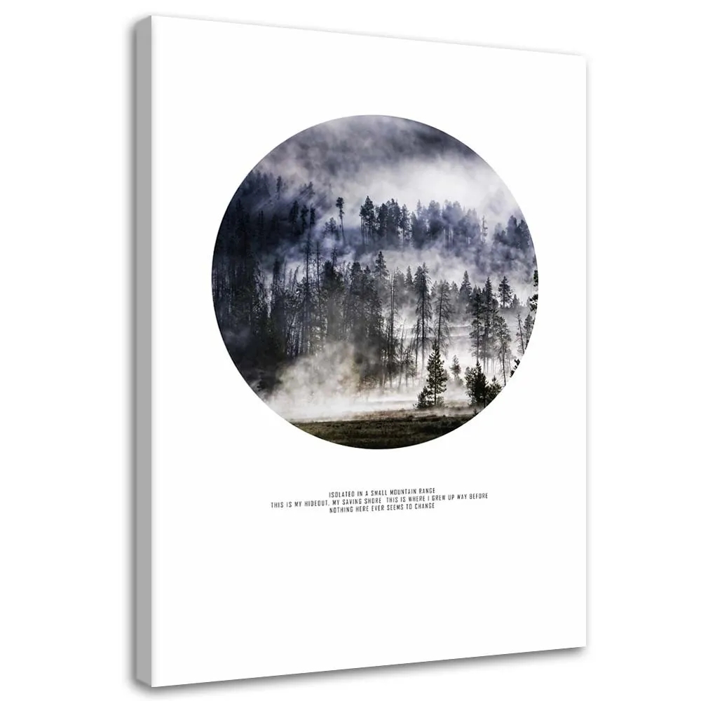 obraz-na-plotnie-las-we-mgle-60x90-stan-nowy