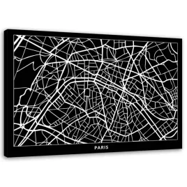 obraz-na-plotnie-paryz-plan-miasta-120x80