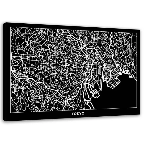 obraz-na-plotnie-tokio-plan-miasta-100x70