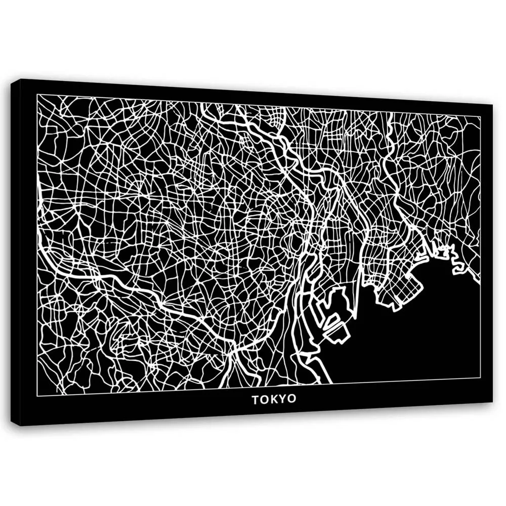 obraz-na-plotnie-tokio-plan-miasta-100x70-stan-nowy
