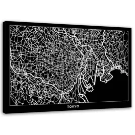 obraz-na-plotnie-tokio-plan-miasta-90x60
