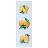obraz-na-plotnie-cytryny-owoce-30x90-sposob-wykonania-druk-cyfrowy