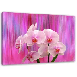 obraz-na-plotnie-orchidea-storczyk-rozowy-100x70