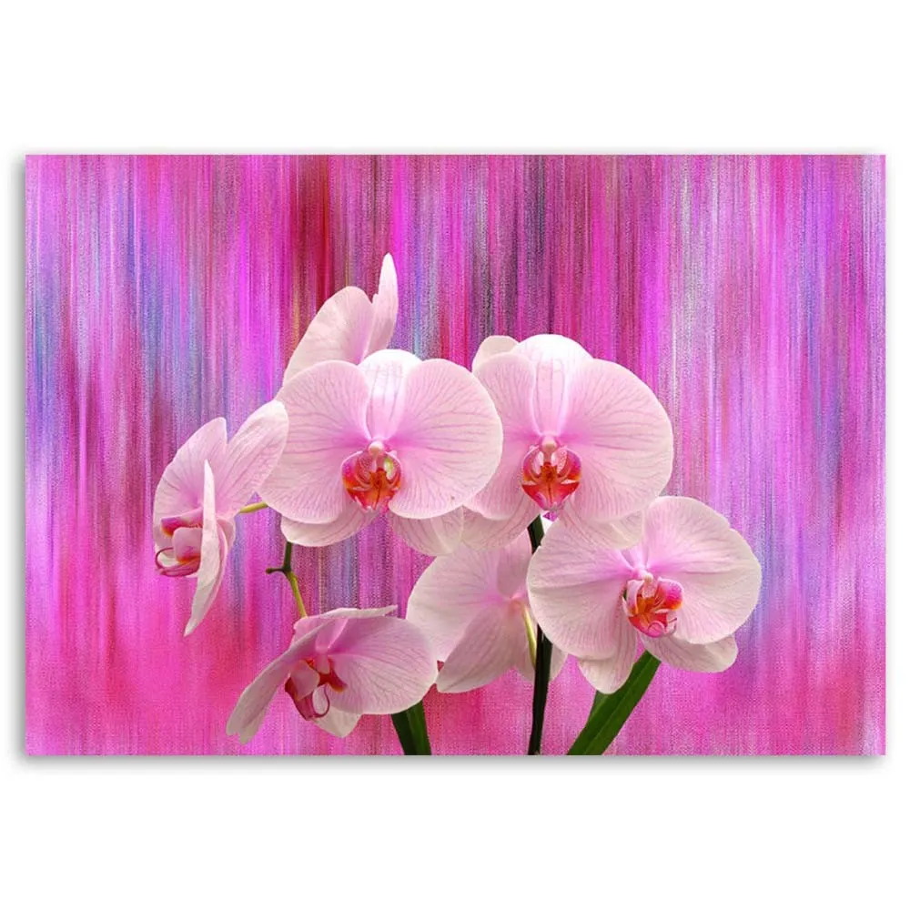 obraz-na-plotnie-orchidea-storczyk-rozowy-100x70