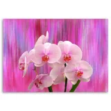 obraz-na-plotnie-orchidea-storczyk-rozowy-60x40-sposob-wykonania-druk-cyfrowy