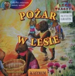 pozar-w-lesie-cd-lech-tkaczyk