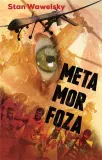 metamorfoza-stan-wawelsky