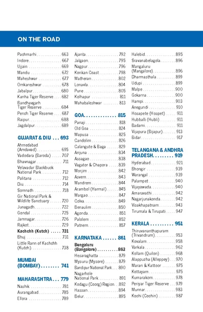 india-przewodnik-lonely-planet-jezyk-angielski