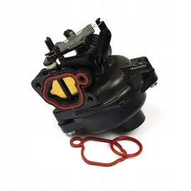 gaznik-briggs-799584