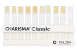 kolornik-do-kompozytu-charisma-classic