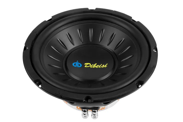 glosnik-10-dbs-b1023-8ohm