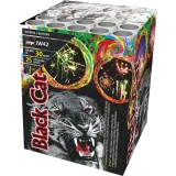 jw42-black-cat