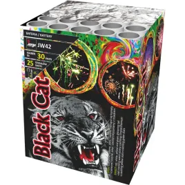 jw42-black-cat