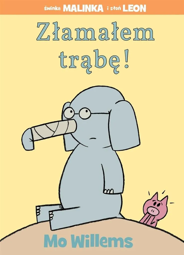Grafika w opisie produktu