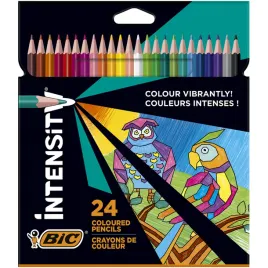 kredki-bic-24-kolory-evolution-kredki-olowkowe