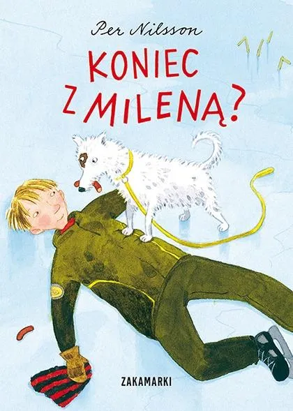 Grafika w opisie produktu
