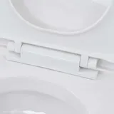 toaleta-wiszaca-ceramiczna-biala-rodzaj-inna