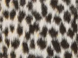 dywan-gepard-brazowy-nambung-ksztalt-inny