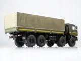 ssm-kamaz-6560