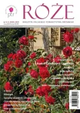 roze-praca-zbiorowa