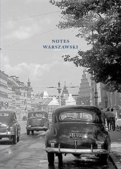 Grafika w opisie produktu