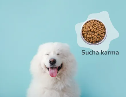 undefined_undefined