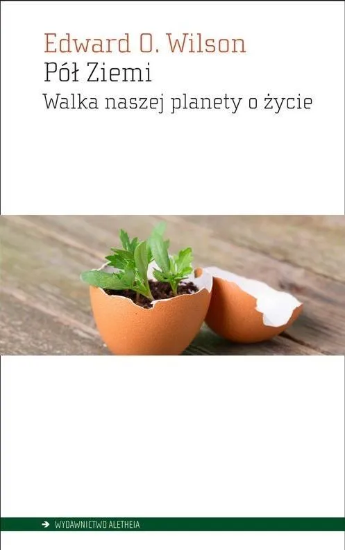 Grafika w opisie produktu