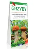 grzyby-praca-zbiorowa