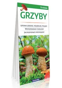 Grafika w opisie produktu