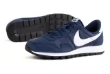 air-pegasus-83-41