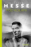 pod-kolami-hermann-hesse