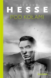 pod-kolami-hermann-hesse