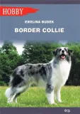 border-collie-w-2020-ewelina-budek
