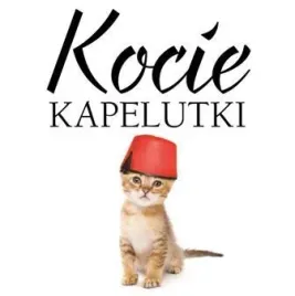 kocie-kapelutki-kat-scratching