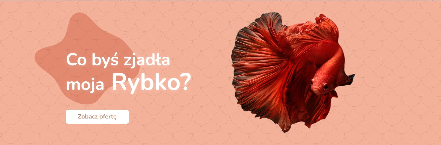 undefined_undefined