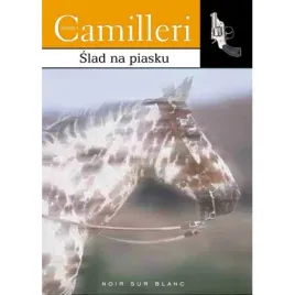 slad-na-piasku