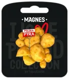 magnes-polska-pyra