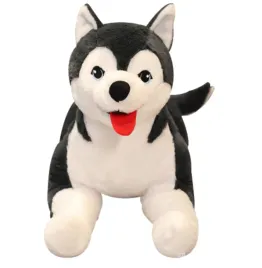 maskotka-pies-husky