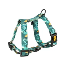 dingo-szelki-guard-monstera-l-4-55-100cm