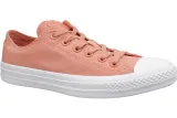 converse-c-taylor-all-star-163307c