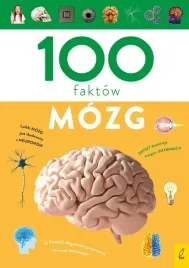 100-faktow-mozg