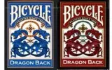 bicycle-dragon-back