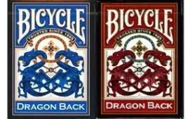 bicycle-dragon-back