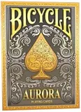 bicycle-aurora