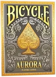 bicycle-aurora